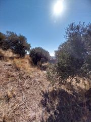 Οικόπεδο 664 τ.μ. για πώληση, Ν. Ρεθύμνου, Φοινίκας-thumb-7