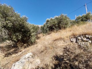 Οικόπεδο 664 τ.μ. για πώληση, Ν. Ρεθύμνου, Φοινίκας-thumb-6