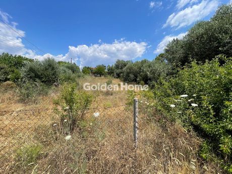 Land plot 600 sqm for sale