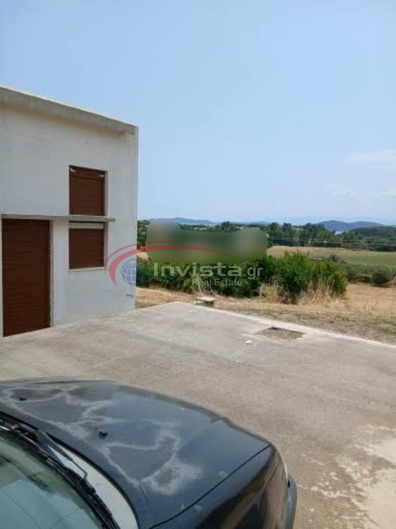Αγροτεμάχια 7.980 τ.μ. προς πώληση, Νέα Ρόδα