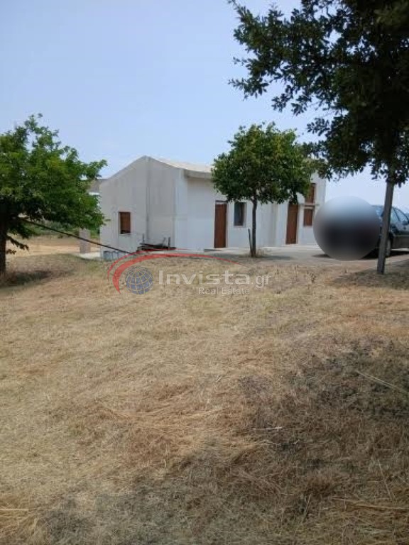 Αγροτεμάχια 7.980 τ.μ. προς πώληση, Νέα Ρόδα