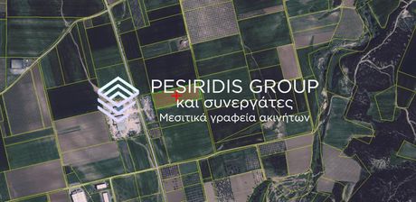 Αγροτεμάχια 12.000 τ.μ. πρός πώληση