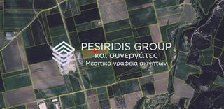 Αγροτεμάχια 12.000 τ.μ. πρός πώληση