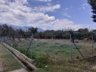 Οικόπεδο 2.000 τ.μ. για ενοικίαση, Λακωνία, Σπάρτη-thumb-3