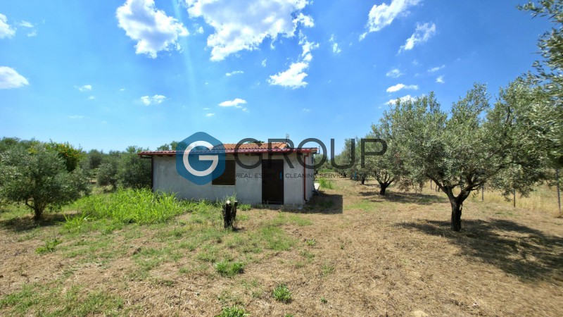 Μονοκατοικία 60 τ.μ. πρός πώληση, Εβρος, Αλεξανδρούπολη