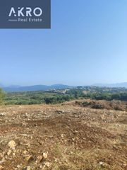 Αγροτεμάχια 6.400 τ.μ. για πώληση