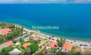 Οικόπεδο 976 τ.μ. για ενοικίαση, Αττική - Υπόλοιπο, Κάλαμος-thumb-6