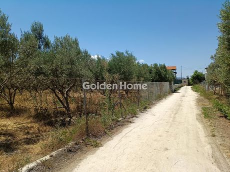 Αγροτεμάχια 1.000 τ.μ. προς πώληση