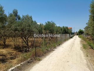Αγροτεμάχια 1.000 τ.μ. για πώληση