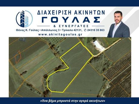Αγροτεμάχια 12.858 τ.μ. πρός πώληση