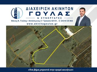 Αγροτεμάχια 12.858 τ.μ. για πώληση