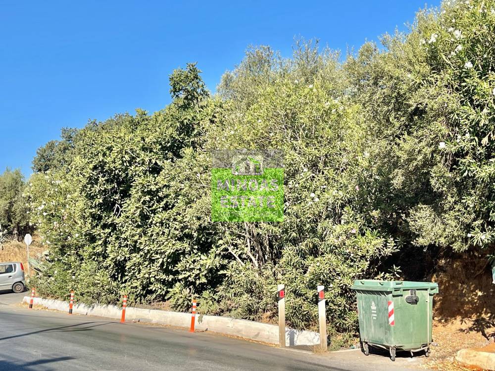 Οικόπεδο 3.000 τ.μ. προς πώληση, Παχιανά