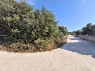 Αγροτεμάχια 7.155 τ.μ. για πώληση