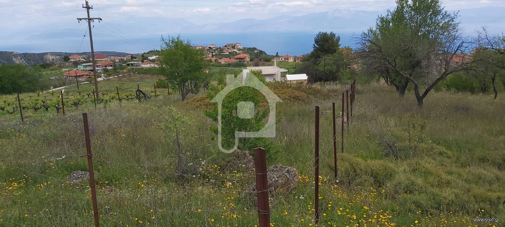 Οικόπεδο 1.196 τ.μ. προς πώληση, Μικρός Βάλτος