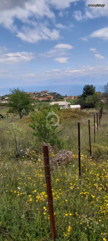 Οικόπεδο 1.196 τ.μ. προς πώληση, Μικρός Βάλτος