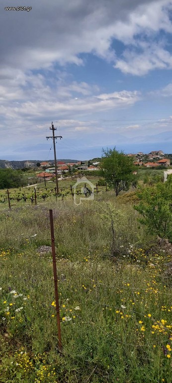 Οικόπεδο 1.196 τ.μ. προς πώληση, Μικρός Βάλτος