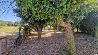 Οικόπεδο 303 τ.μ. προς πώληση, Ν. Χανίων, Κολυμβάρι-thumb-14