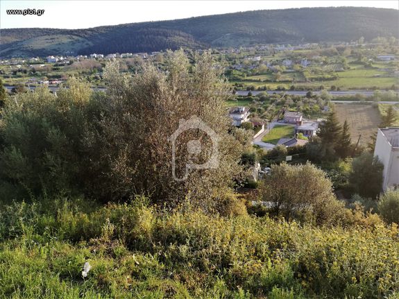 Οικόπεδο 865 τ.μ. για πώληση, Ν. Άρτας, Πέτα