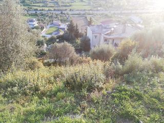 Οικόπεδο 865 τ.μ. για πώληση, Ν. Άρτας, Πέτα-thumb-10
