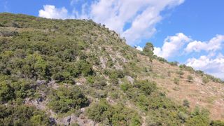 Αγροτεμάχια 52.423,58 τ.μ. για πώληση, Μεσσηνία, Αβία-thumb-2