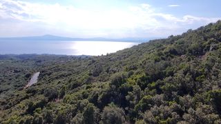 Αγροτεμάχια 52.423,58 τ.μ. για πώληση, Μεσσηνία, Αβία-thumb-4