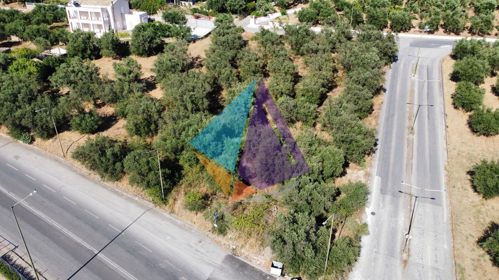 Οικόπεδο 2.402,05 τ.μ. προς πώληση, Θουρία