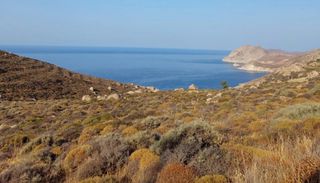 Οικόπεδο 7.258 τ.μ. για πώληση