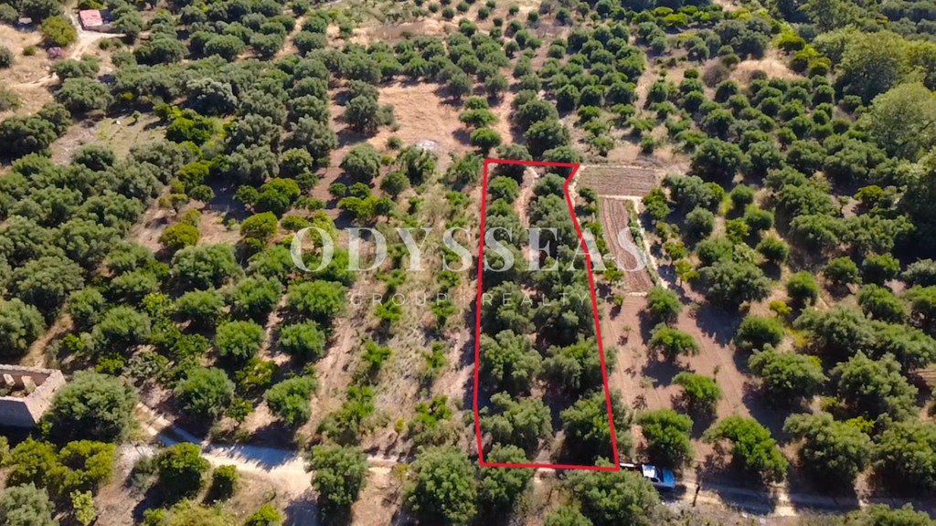 Αγροτεμάχια 1.136 τ.μ. πρός πώληση, Ν. Λασιθίου, Άγιος Νικόλαος
