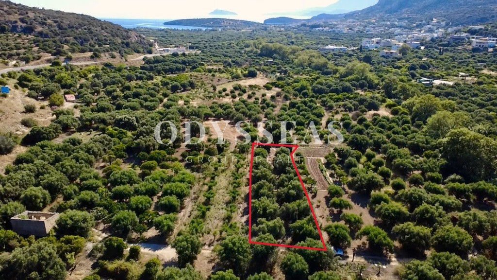 Αγροτεμάχια 1.136 τ.μ. πρός πώληση, Ν. Λασιθίου, Άγιος Νικόλαος