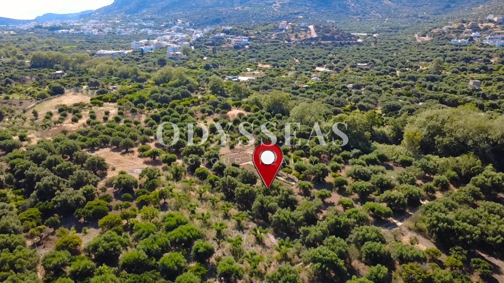 Αγροτεμάχια 1.136 τ.μ. πρός πώληση, Ν. Λασιθίου, Άγιος Νικόλαος