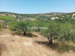 Οικόπεδο 6.000 τ.μ. για πώληση