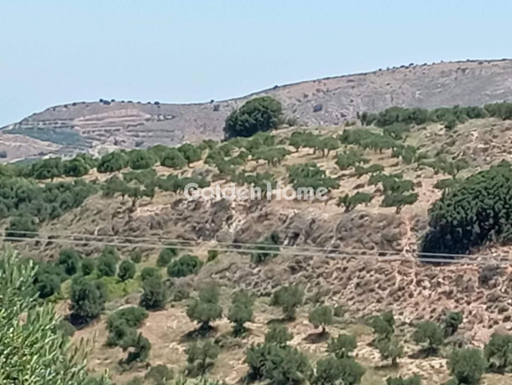 Οικόπεδο 6.000 τ.μ. προς πώληση, Γάλιπε