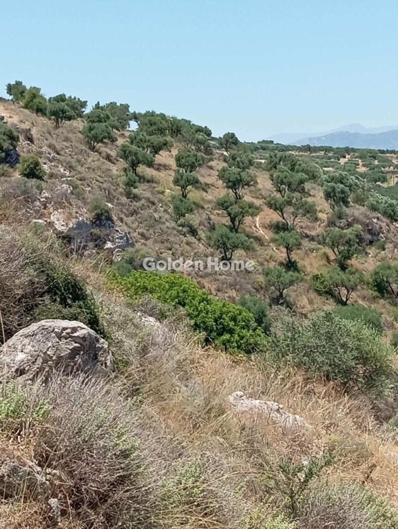Οικόπεδο 6.000 τ.μ. προς πώληση, Γάλιπε