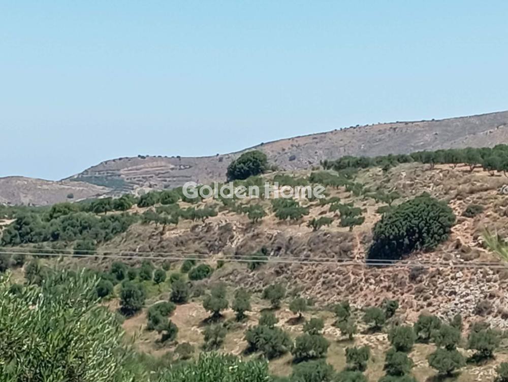 Αγροτεμάχια 3.000 τ.μ. πρός πώληση, Ν. Ηρακλείου, Επισκοπή