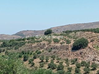 Αγροτεμάχια 3.000 τ.μ. πρός πώληση, Ν. Ηρακλείου, Επισκοπή-thumb-3