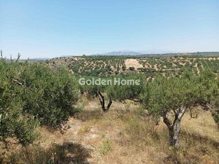 Αγροτεμάχια 3.000 τ.μ. πρός πώληση, Ν. Ηρακλείου, Επισκοπή-thumb-2
