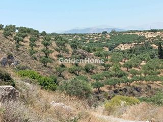 Αγροτεμάχια 3.000 τ.μ. πρός πώληση, Ν. Ηρακλείου, Επισκοπή-thumb-5