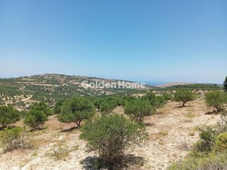 Αγροτεμάχια 3.000 τ.μ. πρός πώληση, Ν. Ηρακλείου, Επισκοπή-thumb-6