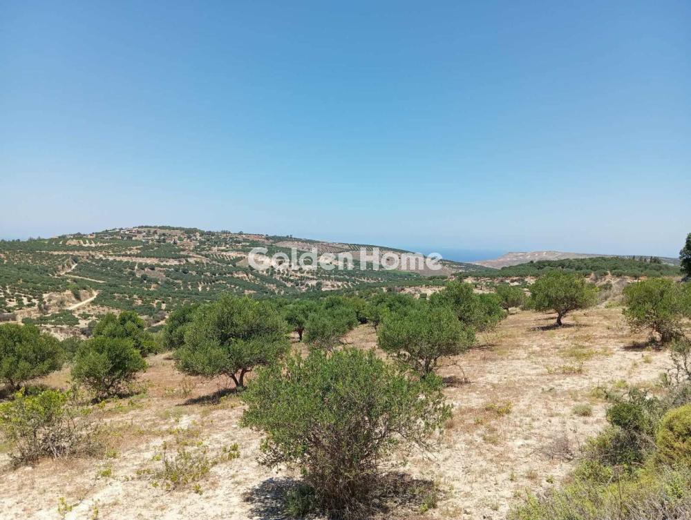 Αγροτεμάχια 4.000 τ.μ. προς πώληση, Γάλιπε