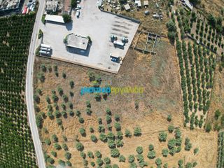 Αγροτεμάχια 11.033,40 τ.μ. για πώληση, Αργολίδα, Άργος-thumb-5
