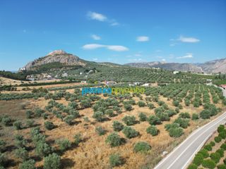 Αγροτεμάχια 11.033,40 τ.μ. για πώληση, Αργολίδα, Άργος-thumb-3