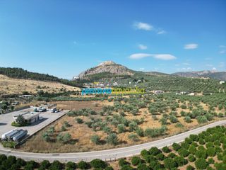 Αγροτεμάχια 11.033,40 τ.μ. για πώληση, Αργολίδα, Άργος-thumb-2