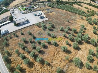 Αγροτεμάχια 11.033,40 τ.μ. για πώληση, Αργολίδα, Άργος-thumb-11