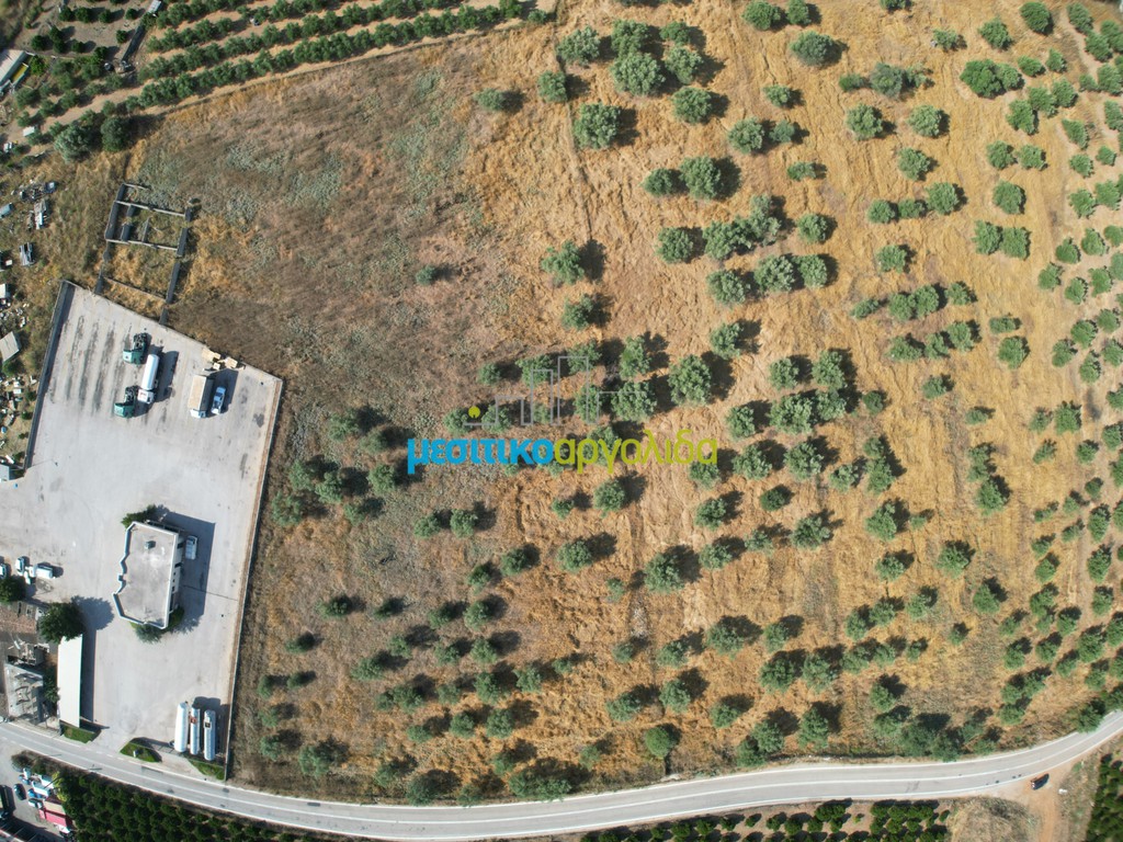 Αγροτεμάχια 11.033,40 τ.μ. προς πώληση, Άργος