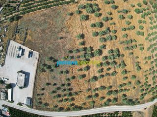 Αγροτεμάχια 11.033,40 τ.μ. για πώληση, Αργολίδα, Άργος-thumb-4