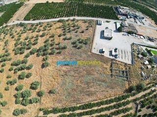 Αγροτεμάχια 11.033,40 τ.μ. για πώληση, Αργολίδα, Άργος-thumb-6