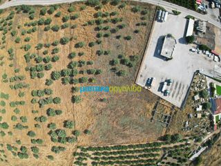 Αγροτεμάχια 11.033,40 τ.μ. για πώληση