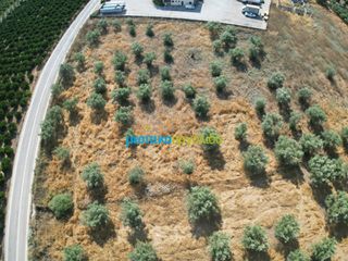Αγροτεμάχια 11.033,40 τ.μ. για πώληση, Αργολίδα, Άργος-thumb-10