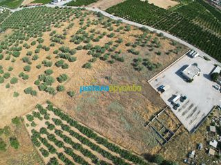 Αγροτεμάχια 11.033,40 τ.μ. για πώληση, Αργολίδα, Άργος-thumb-7