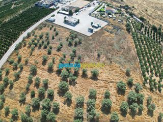 Αγροτεμάχια 11.033,40 τ.μ. για πώληση, Αργολίδα, Άργος-thumb-8